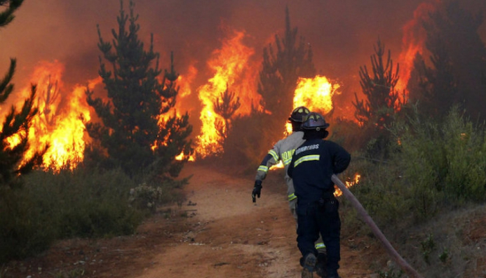 Especialista En Incendios Forestales